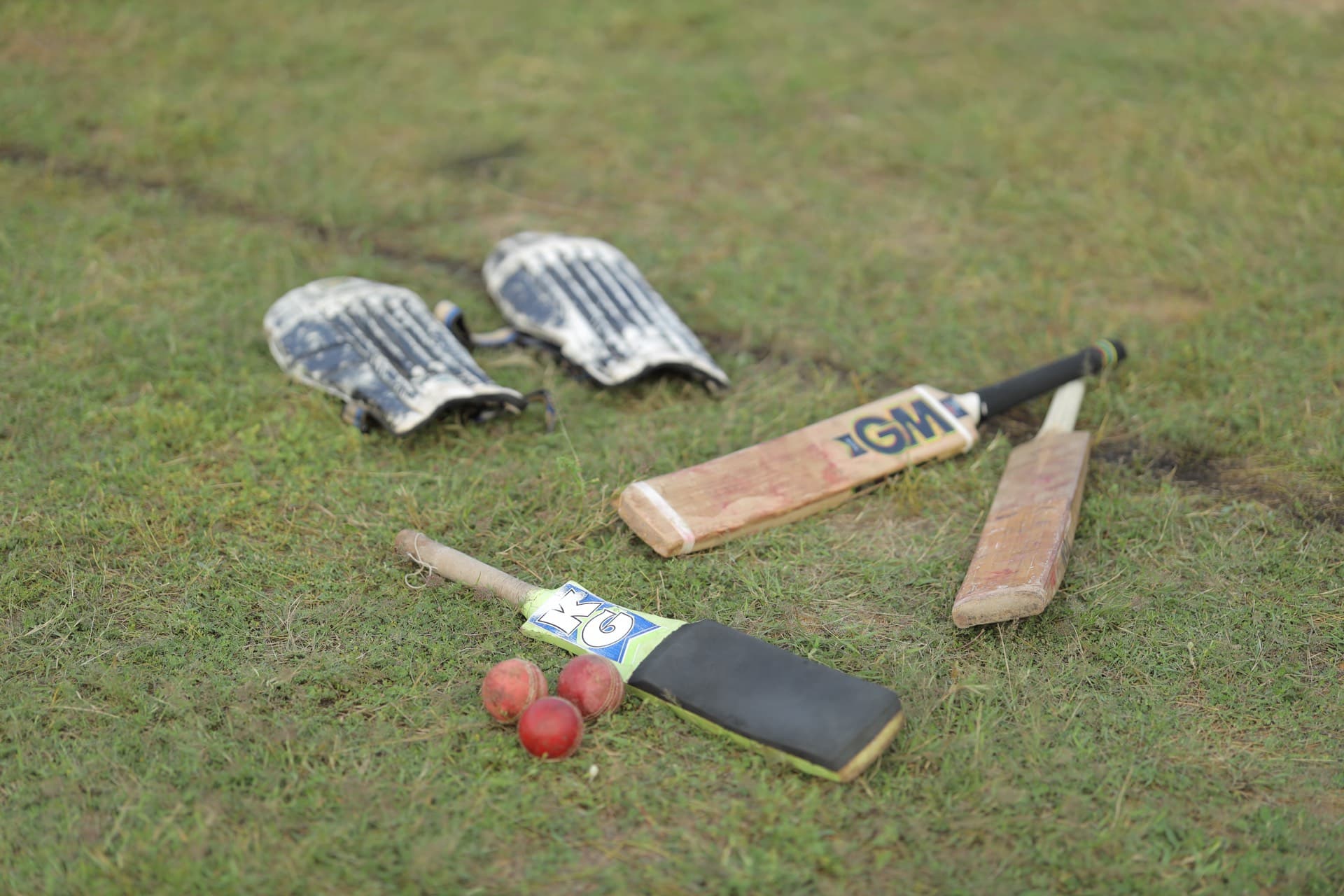 Cricket Training